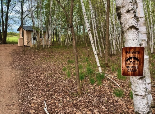 Moose Cabin